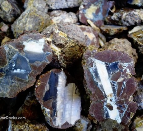 Thundereggs Oregon