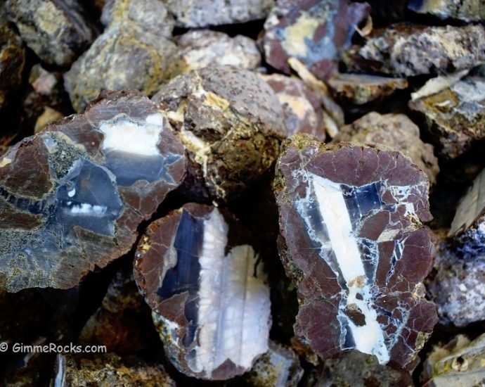 Thundereggs Oregon