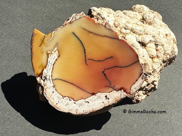 White Fir Springs Thunderegg