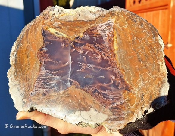 Canyon Rim Thunderegg - Polka Dot Agate Mine