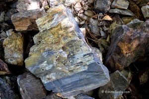 Petrified Wood Formation