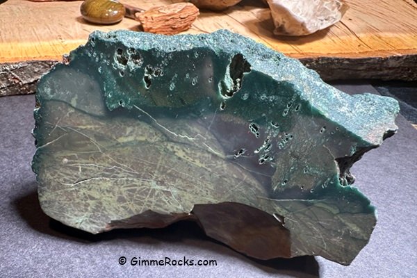 Hampton Butte Green Petrified Wood