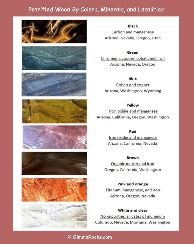 Petrified Wood Colors