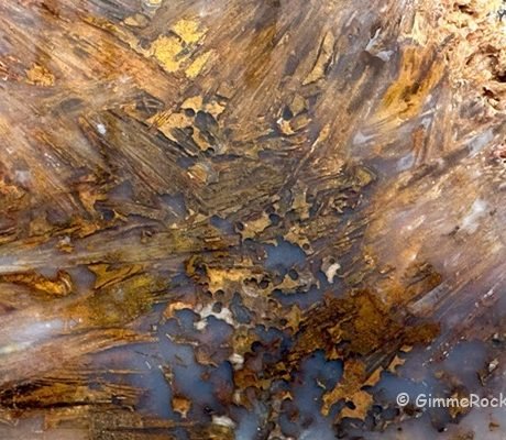 Sagenite Agate