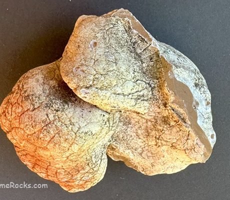 Snakeskin Agate