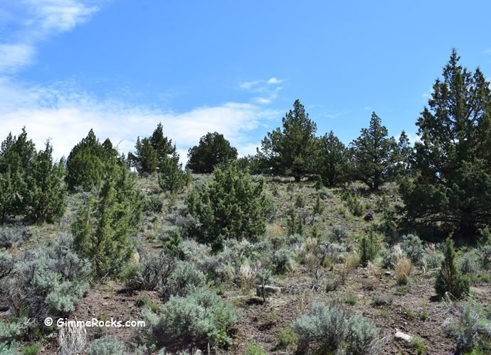 Glass Butte - Oregon Where to Find Obsidian - North American Locations