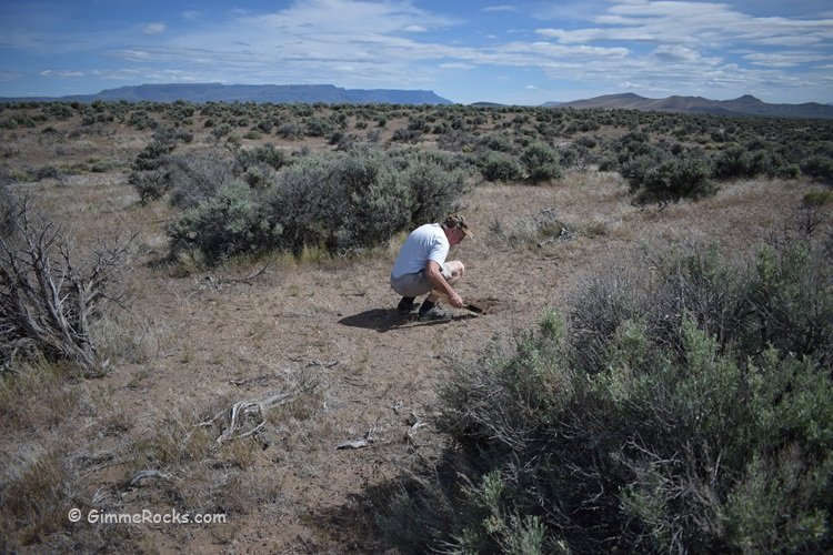 Oregon Sunstone Public Collection Area