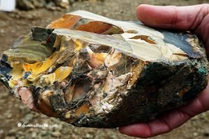 Picture Jasper, Blue Mountains, Oregon