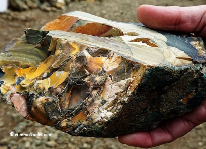 Picture Jasper, Blue Mountains, Oregon