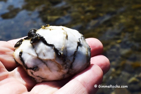 Gold Bearing Quartz