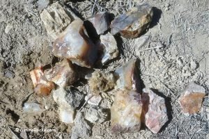 Graveard Point Plume Agates - Where to Find Plume Agates?