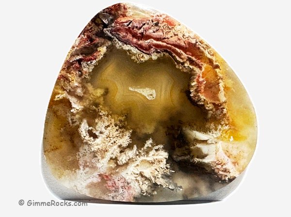 Regency Rose Plume Agate