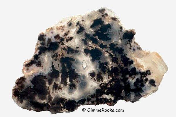 Plume Agate, Southern Texas