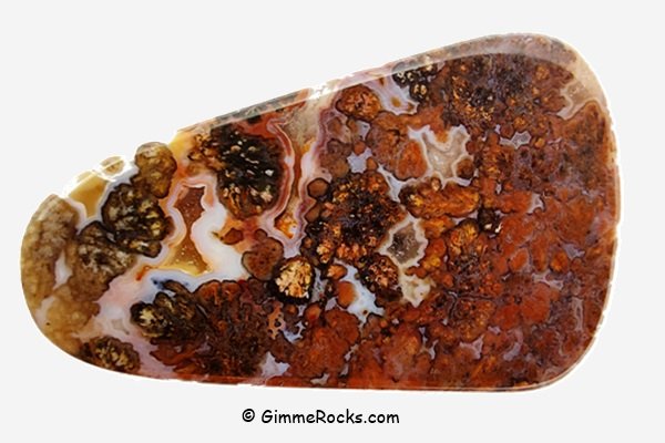 Plume Agate, Canadian River, Texas