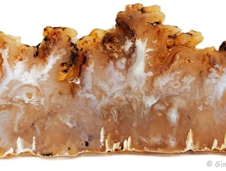 Polished agate - Graveyard Point