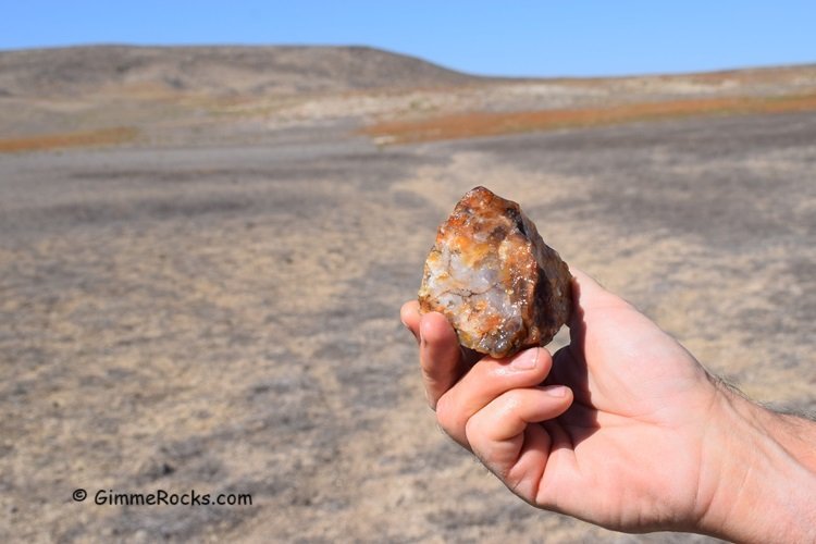 Plum Agate Graveyard Point Eastern Oregon Rockhounding