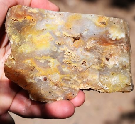 Plum Agate Graveyard Point Eastern Oregon Rockhounding