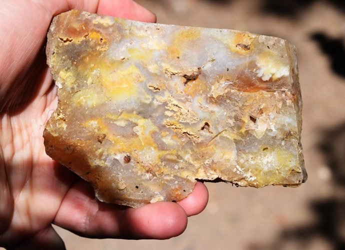 Plum Agate Graveyard Point Eastern Oregon Rockhounding