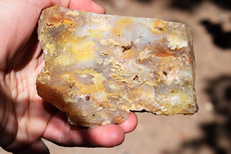 Plum Agate Graveyard Point Eastern Oregon Rockhounding