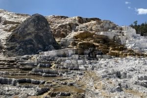 Mammoth Hot Springs Yellowstone National Park