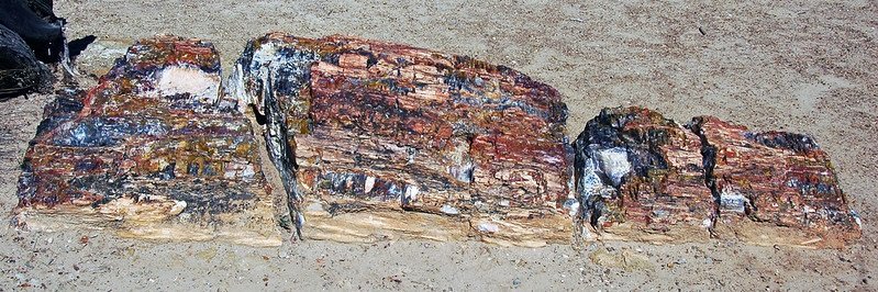 Escalante Petrified Forest State Park