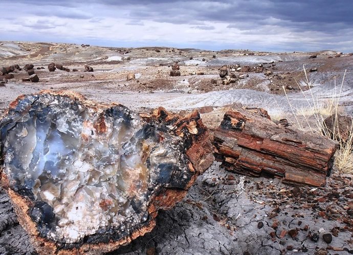 Petrified Forest national Park, Arizona