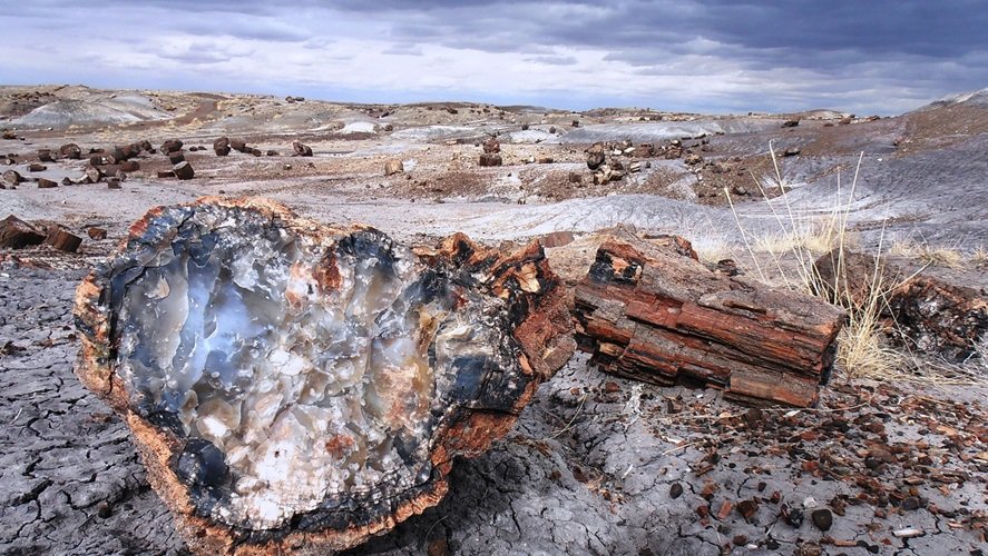 Petrified Forest National Park, Arizona