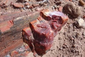 Petrified Forest national Park, Arizona