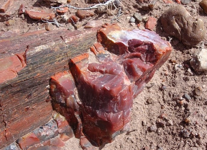 Petrified Forest national Park, Arizona