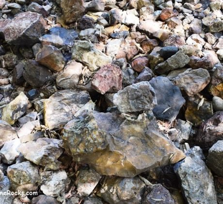 Where to Find Petrified Wood?