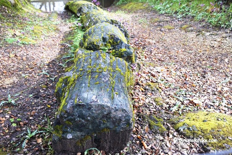 Calistoga Petrified Forest - California