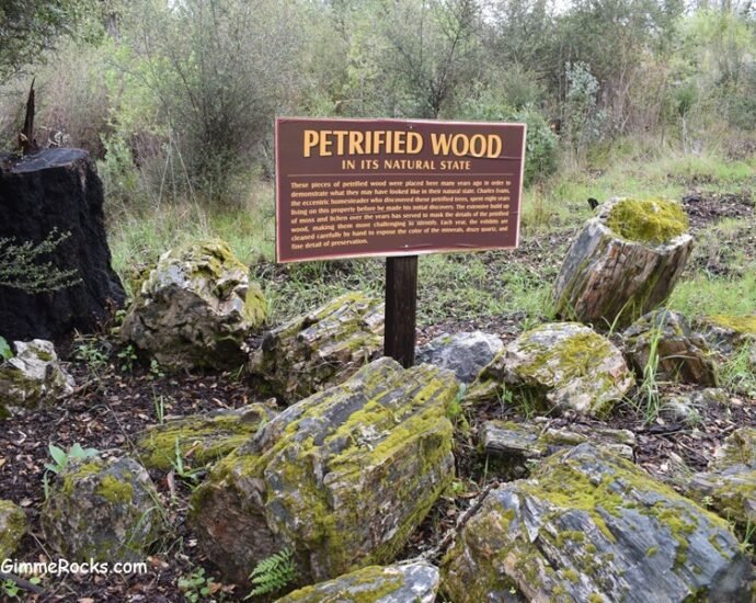 Calistoga Petrified Forest - California