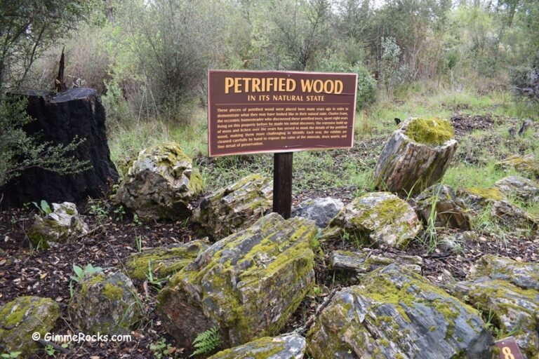 Calistoga Petrified Forest - California