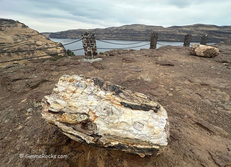 Ginkgo Petrified Forest State Park, Washington