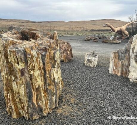 Ginkgo Petrified Forest State Park, Washington
